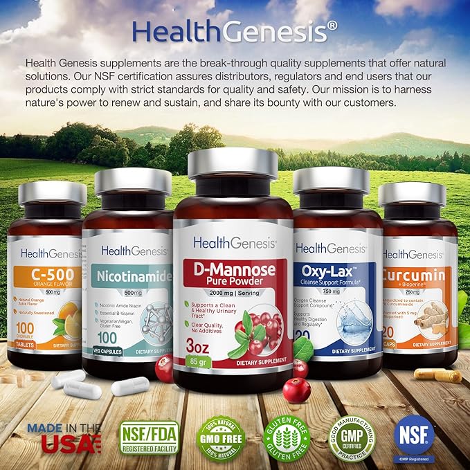 B-3 Nicotinamide 500 mg 100 Caps - Nicotinic Amide Niacin Natural Flush-Free Vitamin Formula - Supports Skin Cell Health
