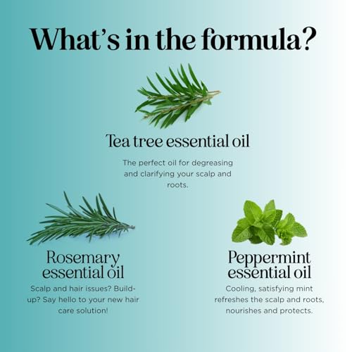 Rosemary Tea Tree Mint Shampoo - Clarifying Shampoo for Build Up and Flakes with Deep Cleansing Peppermint Oil and Tea Tree Essential Oil for Dry Scalp Treatment - Paraben & Sulfate Free (8oz)