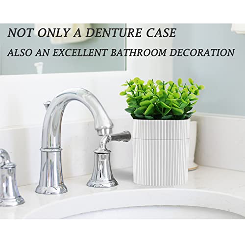 Denture Bath, Invisible Denture Case Designed As Artificial Eucalyptus Potted Plants, Denture Cup With Strainer For Retainer, Mouth Guard & Dentures, Perfect For Home Decoration…