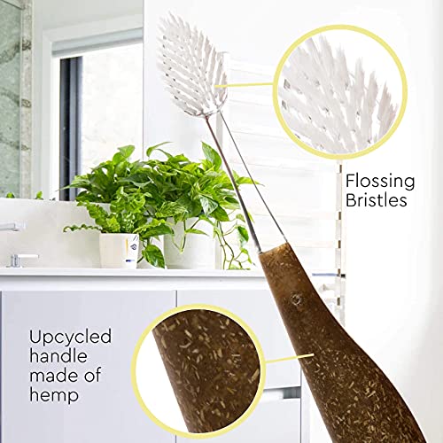 RADIUS Toothbrush Source Floss Brush BPA Free & ADA Accepted Improve Gum Health & Reduce Gum Issues - Soft - Hemp/Soda Pop Ecogrind/Starch- Pack of 3