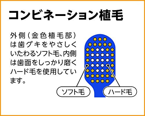 Premium Care Toothbrush Compact Usually 3 Pcs