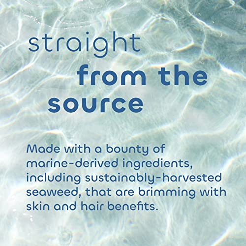 Seaweed Bath Co. Gentle Conditioner, Unscented, 12 Ounce, Sustainably Harvested Seaweed, Aloe, Argan Oil, for Sensitive Scalps