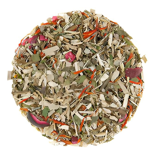 Cranberry Echinacea