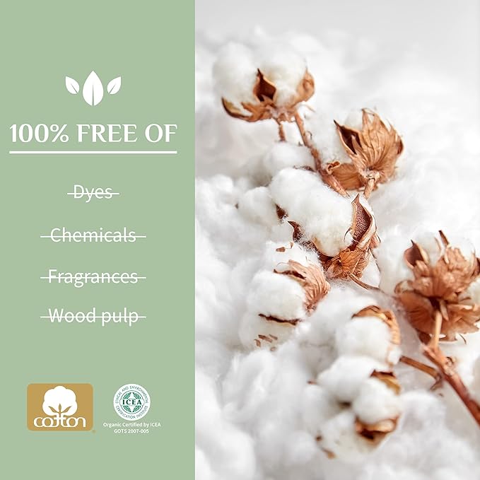 Organyc - 100% Certified Organic Cotton Feminine Pads - Heavy Flow, 10 Count (Pack of 2) (B003ART1JG)