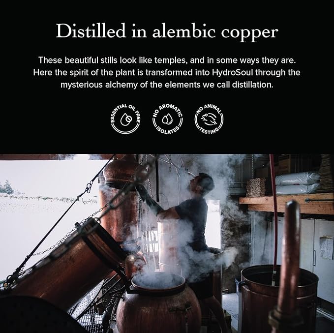 evanhealy Lavender HydroSoul | Copper Distilled Hydrosol | Calms Redness, Soothes Irritated Reactive Skin | Organic Lavender Facial Tonic | Calming Face Toner