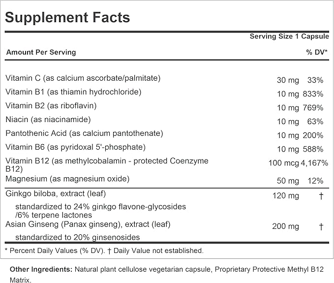 ANDREW LESSMAN Ginkgo 120 Plus Ginseng 200mg - 360 Capsules - Standardized Extract Blend to Support Brain, Memory and Cognitive Function. Adaptogen, Combats Stress and Fatigue. No Additives