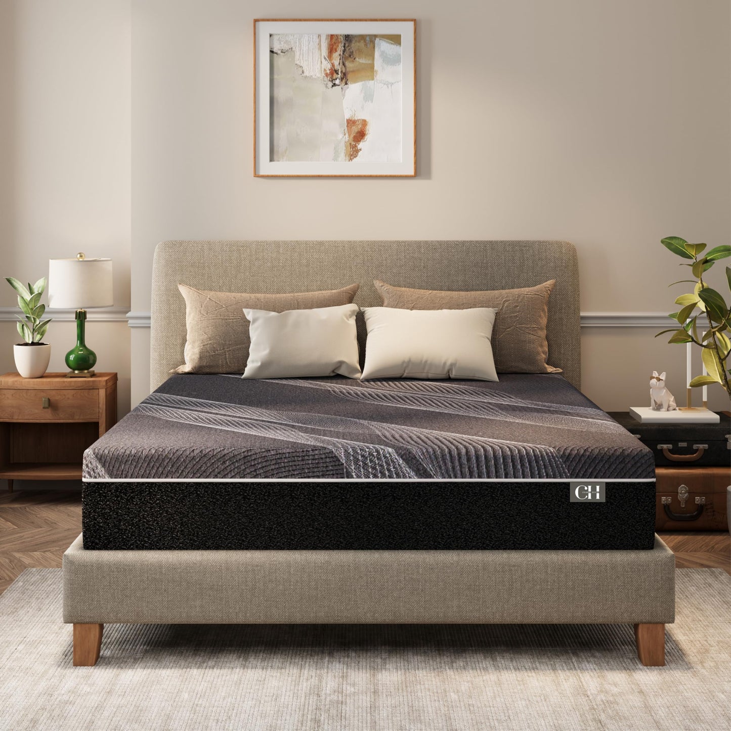 CH CHARME HOUSE 10 Inch Queen Mattress, Bamboo-Charcoal Memory Foam Mattress, Cooling & Pressure Relief, Bed in a Box, Foam Made in USA & CertiPUR-US Certified, 60'x80'x10', Black